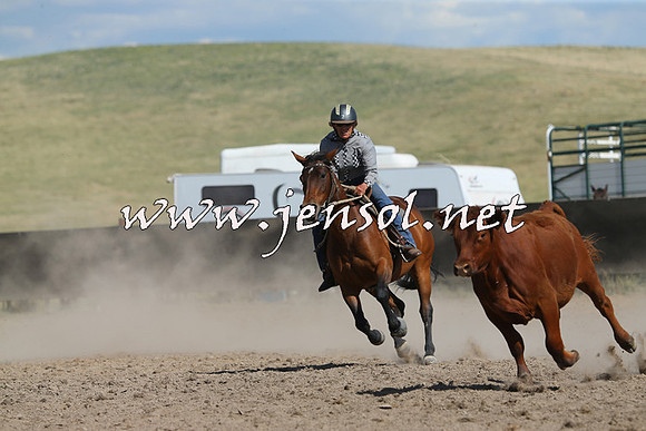 AdaminabyCampdraft2014_0681