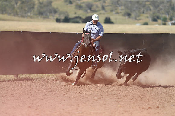AdaminabyCampdraft2014_0572