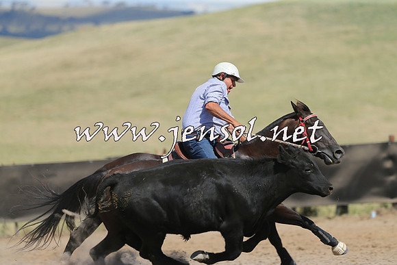AdaminabyCampdraft2014_0579