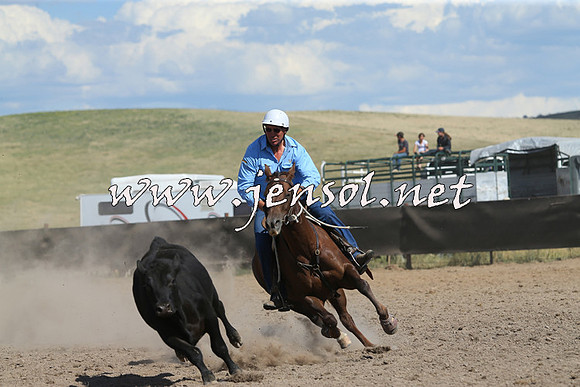 AdaminabyCampdraft2014_0664