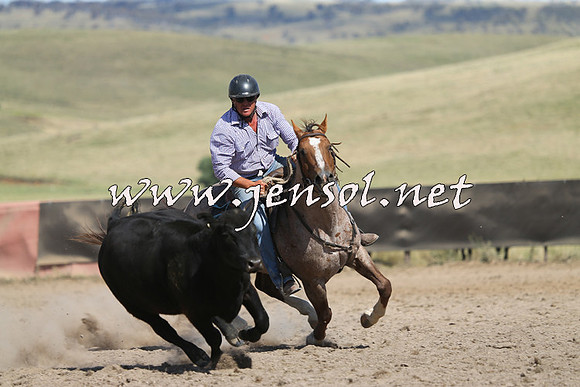 AdaminabyCampdraft2014_0646