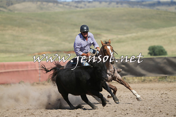 AdaminabyCampdraft2014_0637