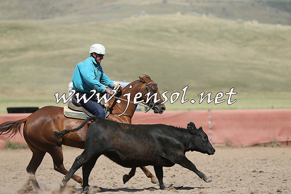 AdaminabyCampdraft2014_0557