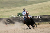AdaminabyCampdraft2014_0545