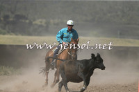 AdaminabyCampdraft2014_0553