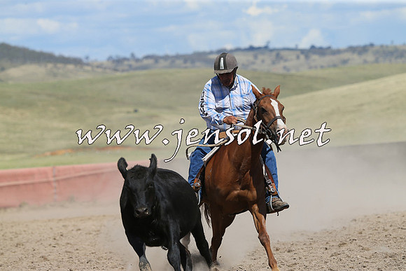 AdaminabyCampdraft2014_0550