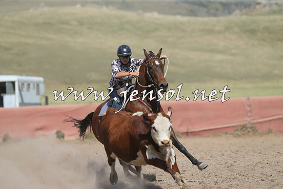 AdaminabyCampdraft2014_0567