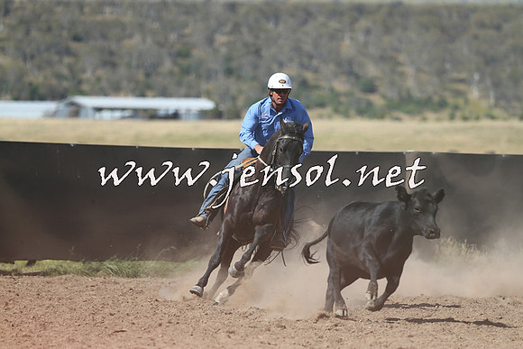 AdaminabyCampdraft2014_0619