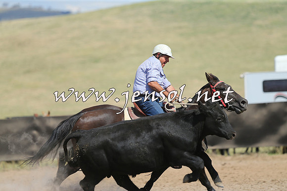 AdaminabyCampdraft2014_0581