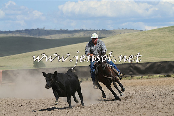 AdaminabyCampdraft2014_0678
