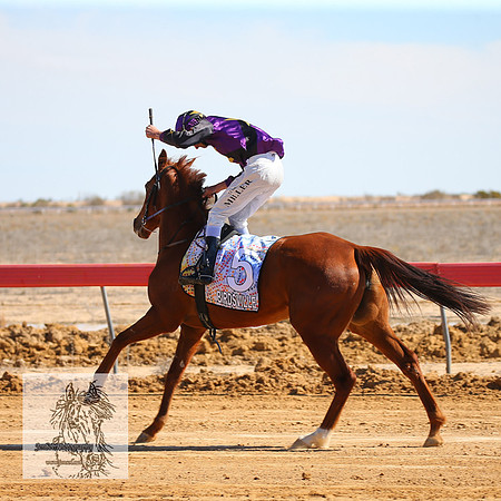 BirdsvilleRaces2022_0153