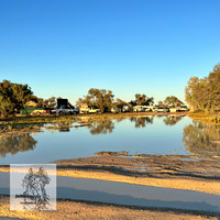BirdsvilleRaces2022-541