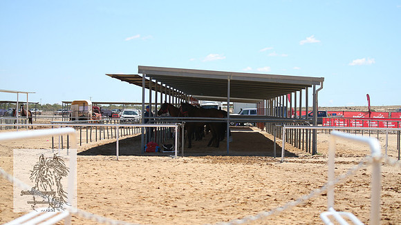 BirdsvilleRaces2022_0083