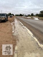 BirdsvilleRaces2022-529