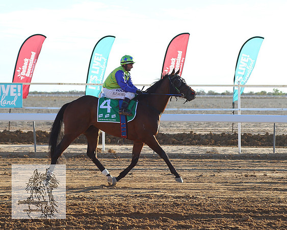 BirdsvilleRaces2022_0388