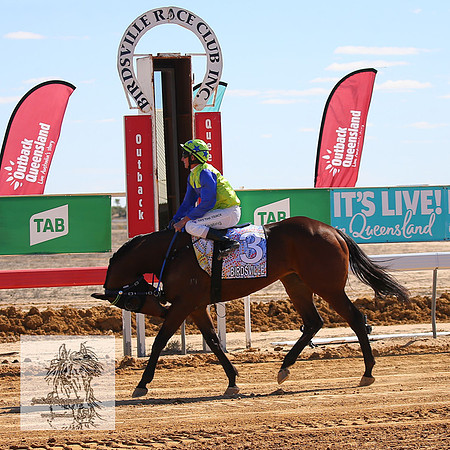 BirdsvilleRaces2022_0162
