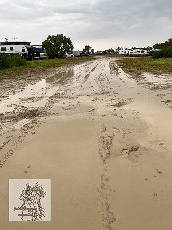 BirdsvilleRaces2022-522
