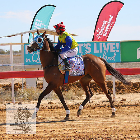 BirdsvilleRaces2022_0168