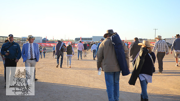 BirdsvilleRaces2022_0396