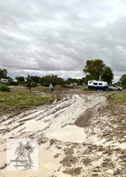 BirdsvilleRaces2022-538