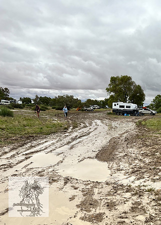 BirdsvilleRaces2022-538