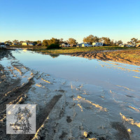 BirdsvilleRaces2022-540