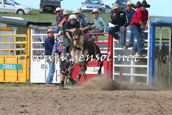 BungendoreRodeo2014_2727