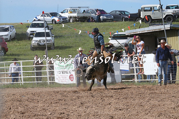 BungendoreRodeo2014_2538