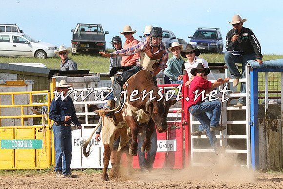 BungendoreRodeo2014_2645