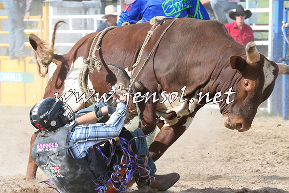 BungendoreRodeo2014_2591