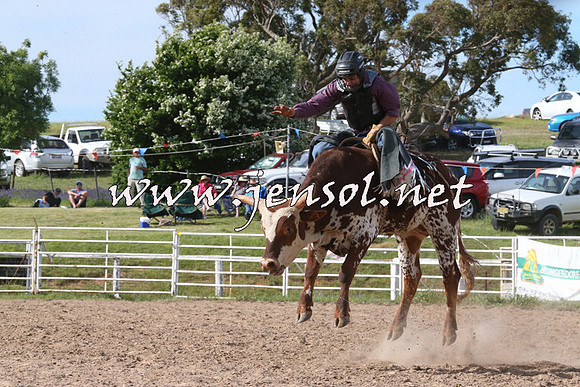BungendoreRodeo2014_2667
