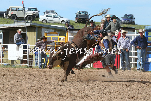 BungendoreRodeo2014_2619