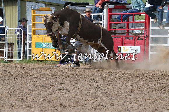 BungendoreRodeo2014_2731