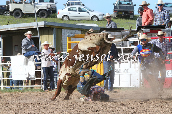 BungendoreRodeo2014_2640