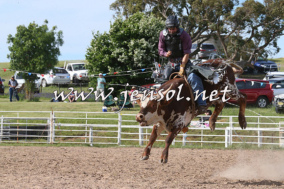 BungendoreRodeo2014_2671