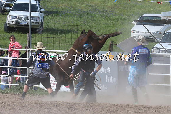 BungendoreRodeo2014_2633
