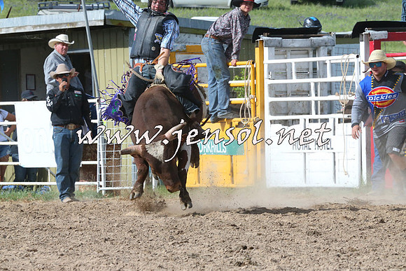 BungendoreRodeo2014_2574