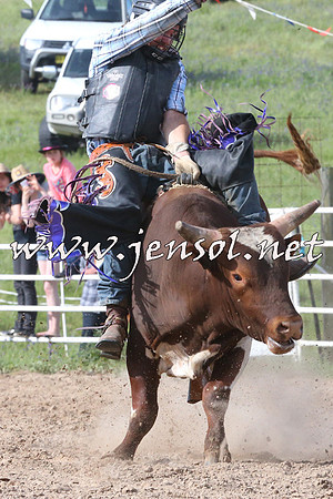 BungendoreRodeo2014_2585