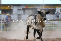 BungendoreRodeo2014_2544