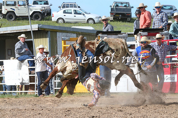 BungendoreRodeo2014_2638