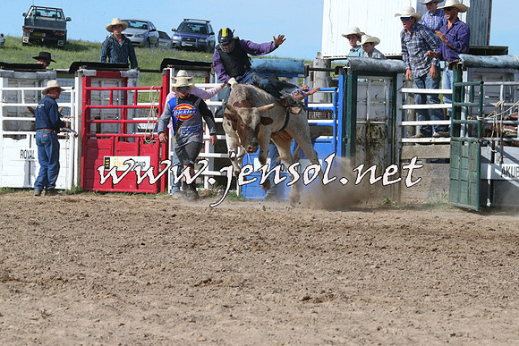BungendoreRodeo2014_2598