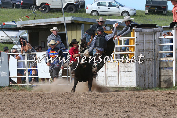BungendoreRodeo2014_2694