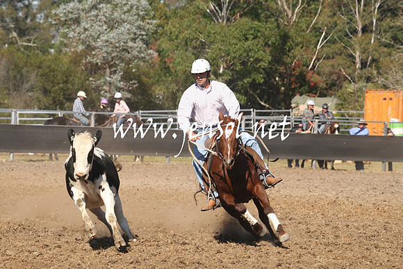 MossValeCampdraft2013_0795