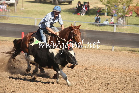 MossValeCampdraft2013_0818