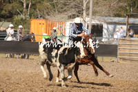 MossValeCampdraft2013_0564