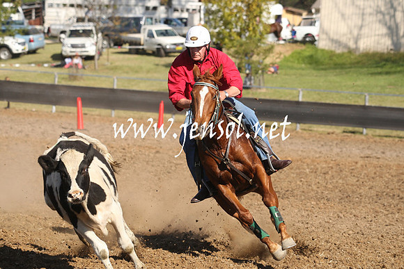 MossValeCampdraft2013_0934