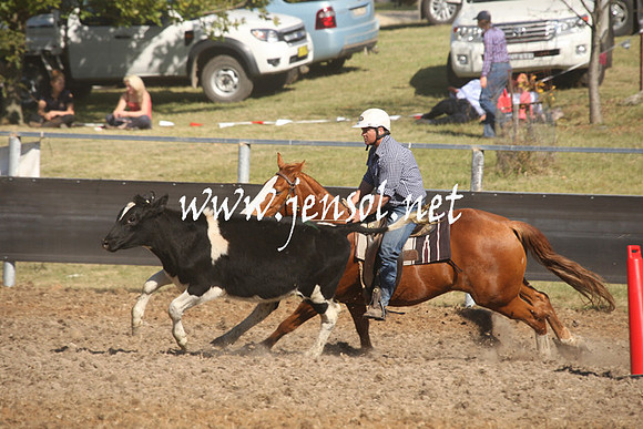 MossValeCampdraft2013_0875