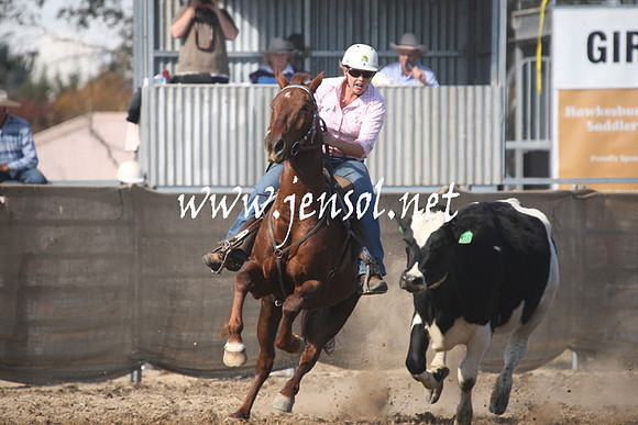 MossValeCampdraft2013_0678