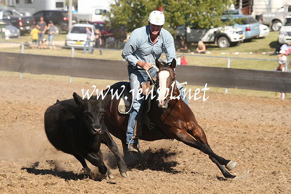 MossValeCampdraft2013_0832