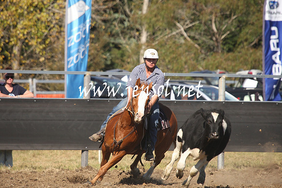 MossValeCampdraft2013_0863